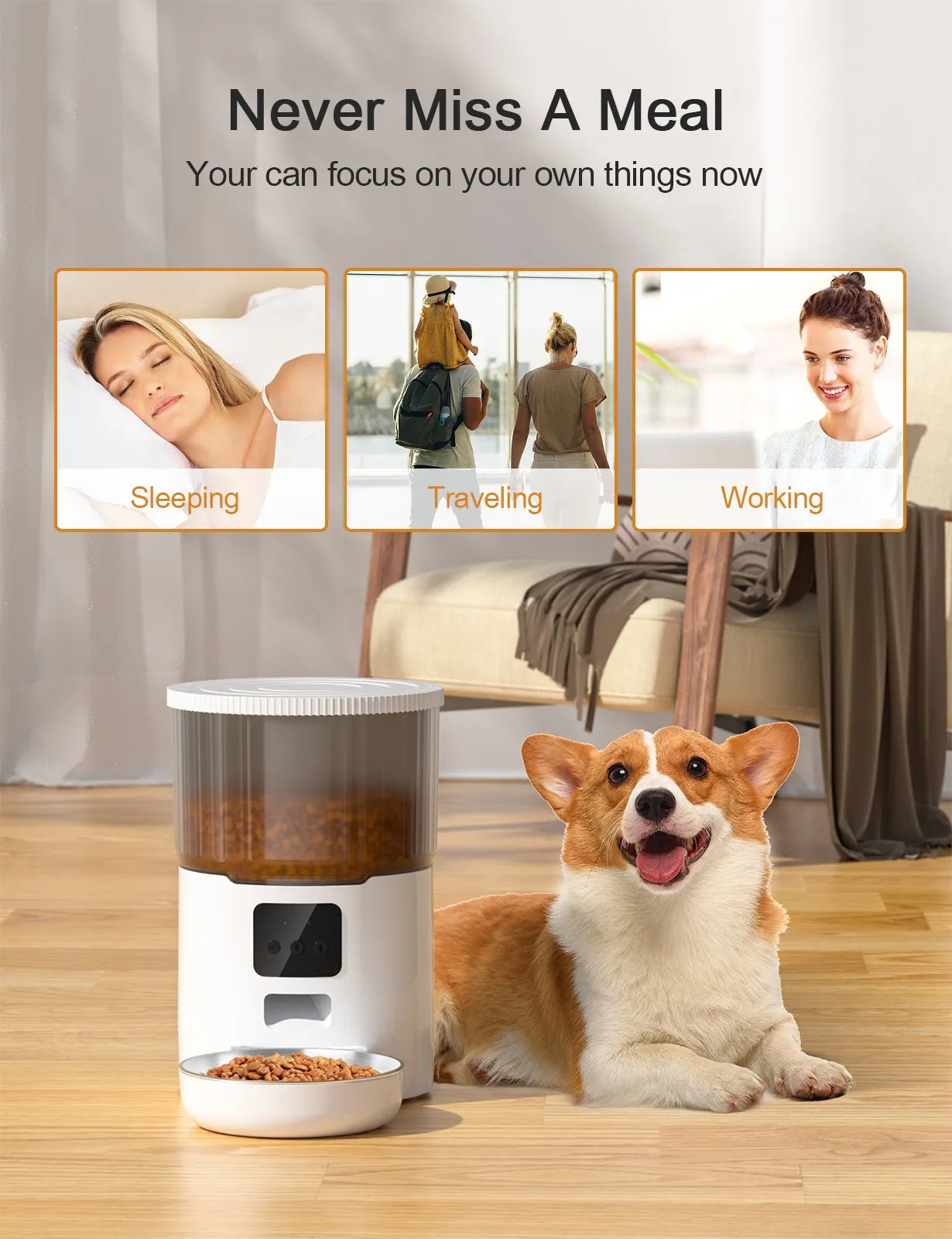 Auto Pet Feeder