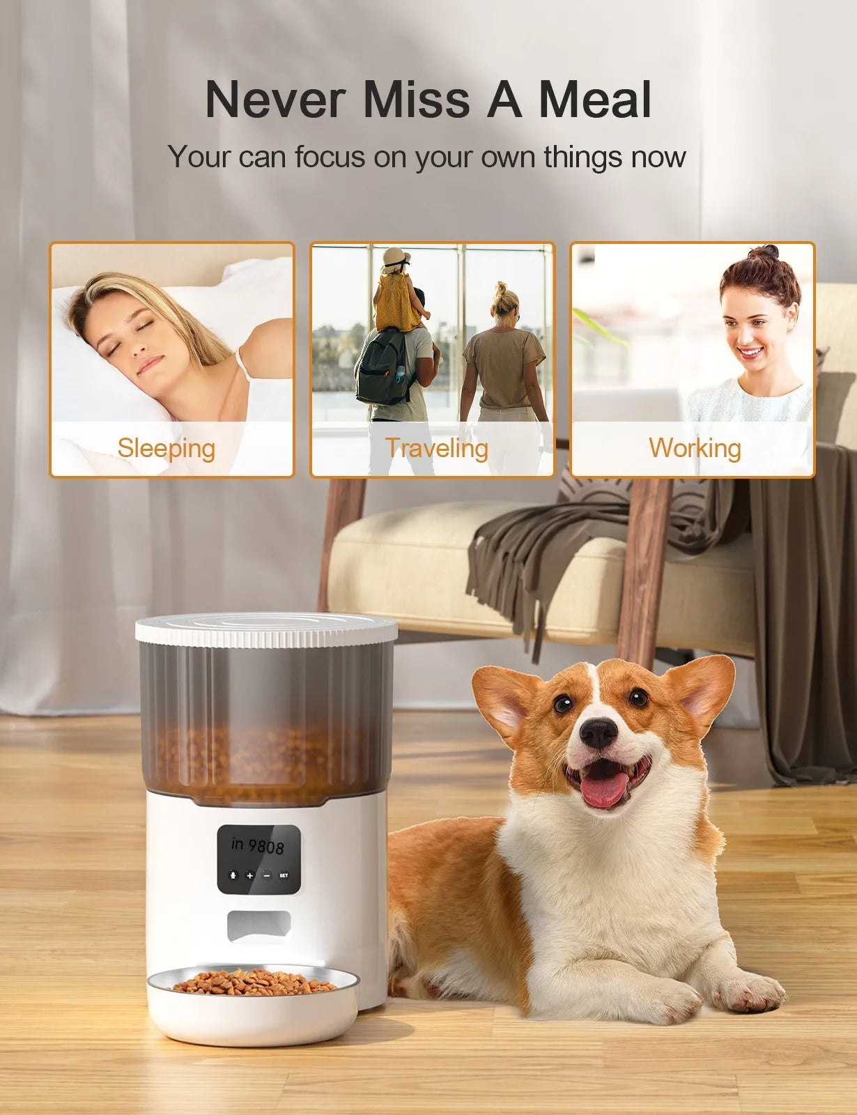 Auto Pet Feeder