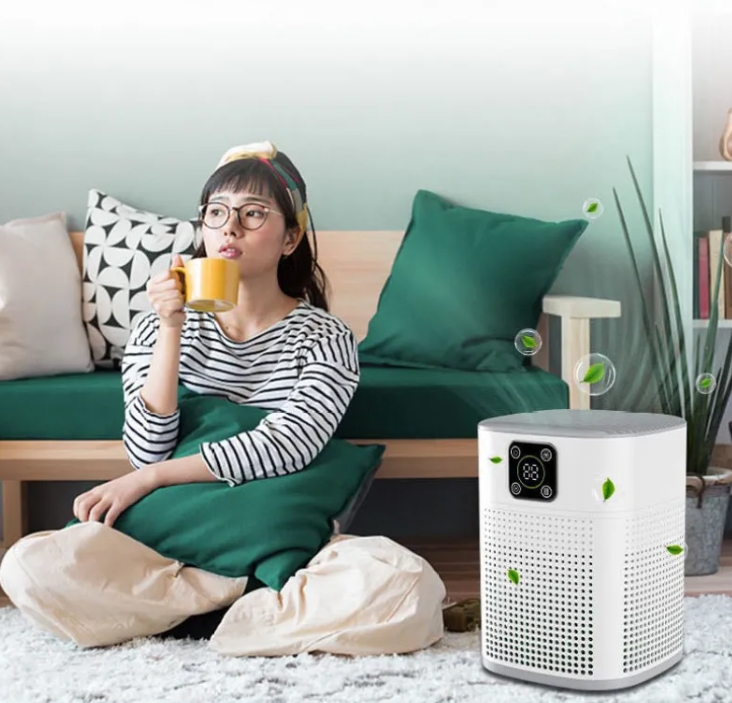 Digital Air Purifier