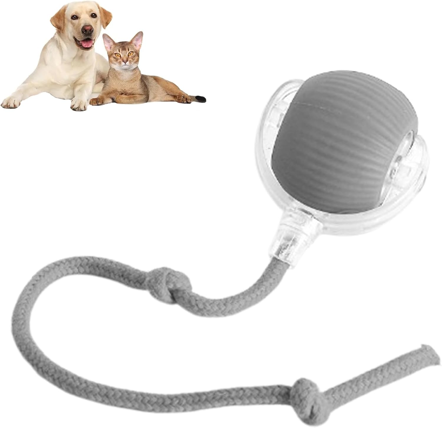 AutoPaws™ Self-Moving Dog Toy – Interactive Motion Pet Toy for Active Play