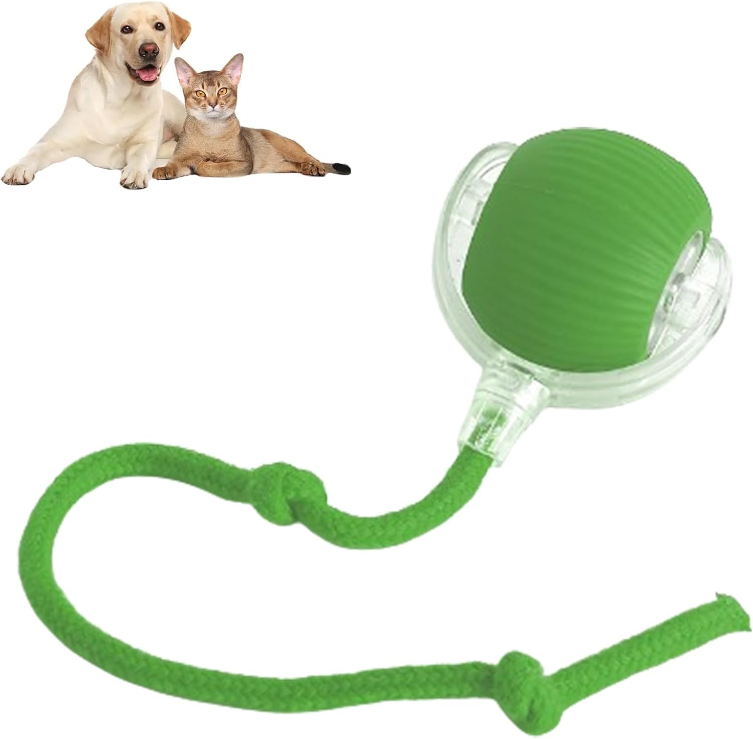 AutoPaws™ Self-Moving Dog Toy – Interactive Motion Pet Toy for Active Play