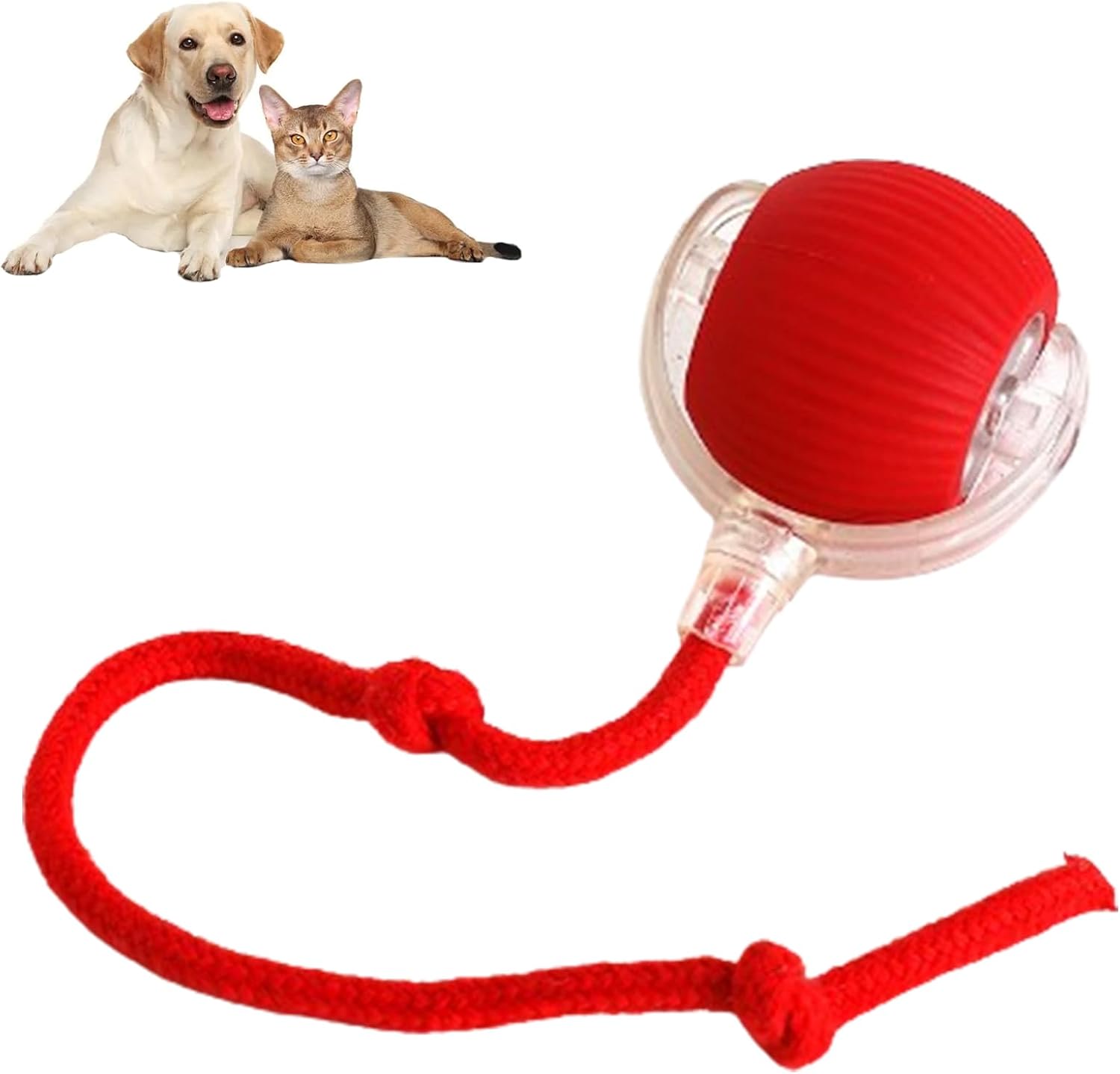 AutoPaws™ Self-Moving Dog Toy – Interactive Motion Pet Toy for Active Play