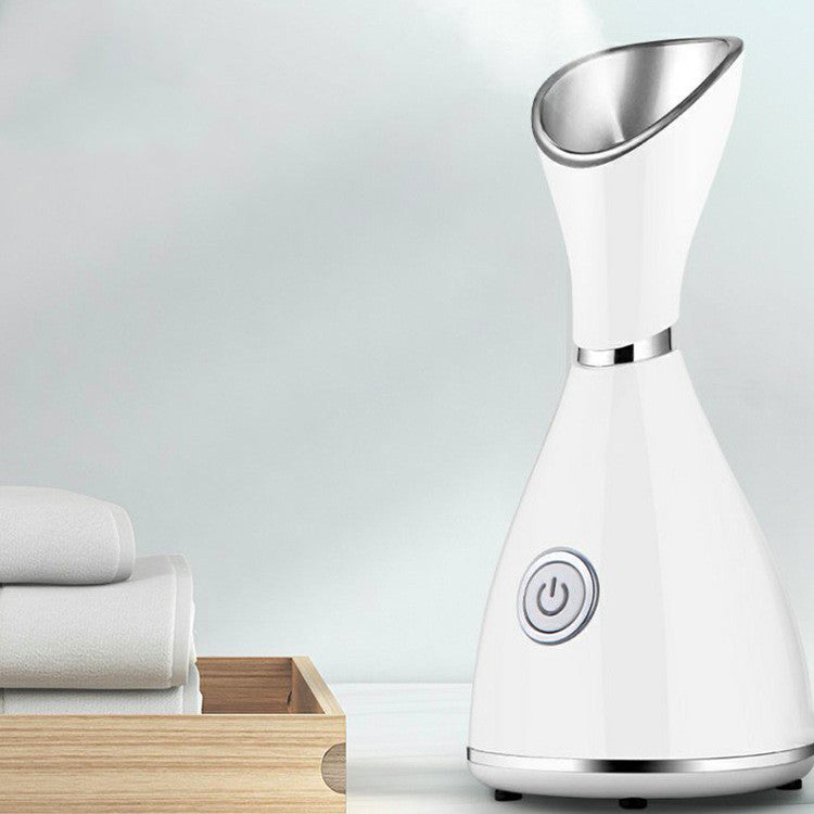 Nano Facial Steamer