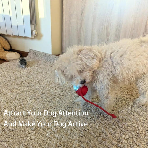 AutoPaws™ Self-Moving Dog Toy – Interactive Motion Pet Toy for Active Play