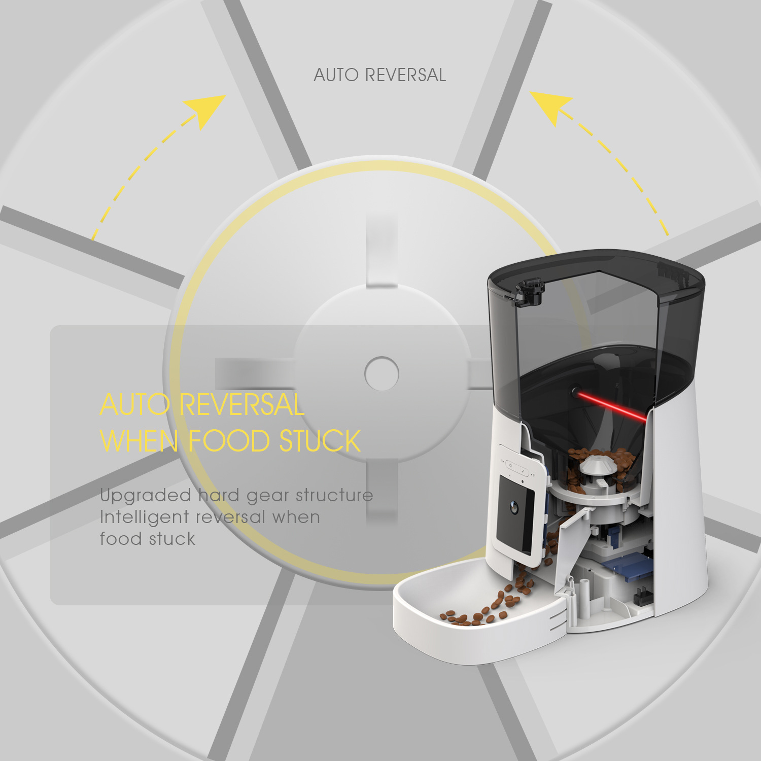 Pet Feeder Camera