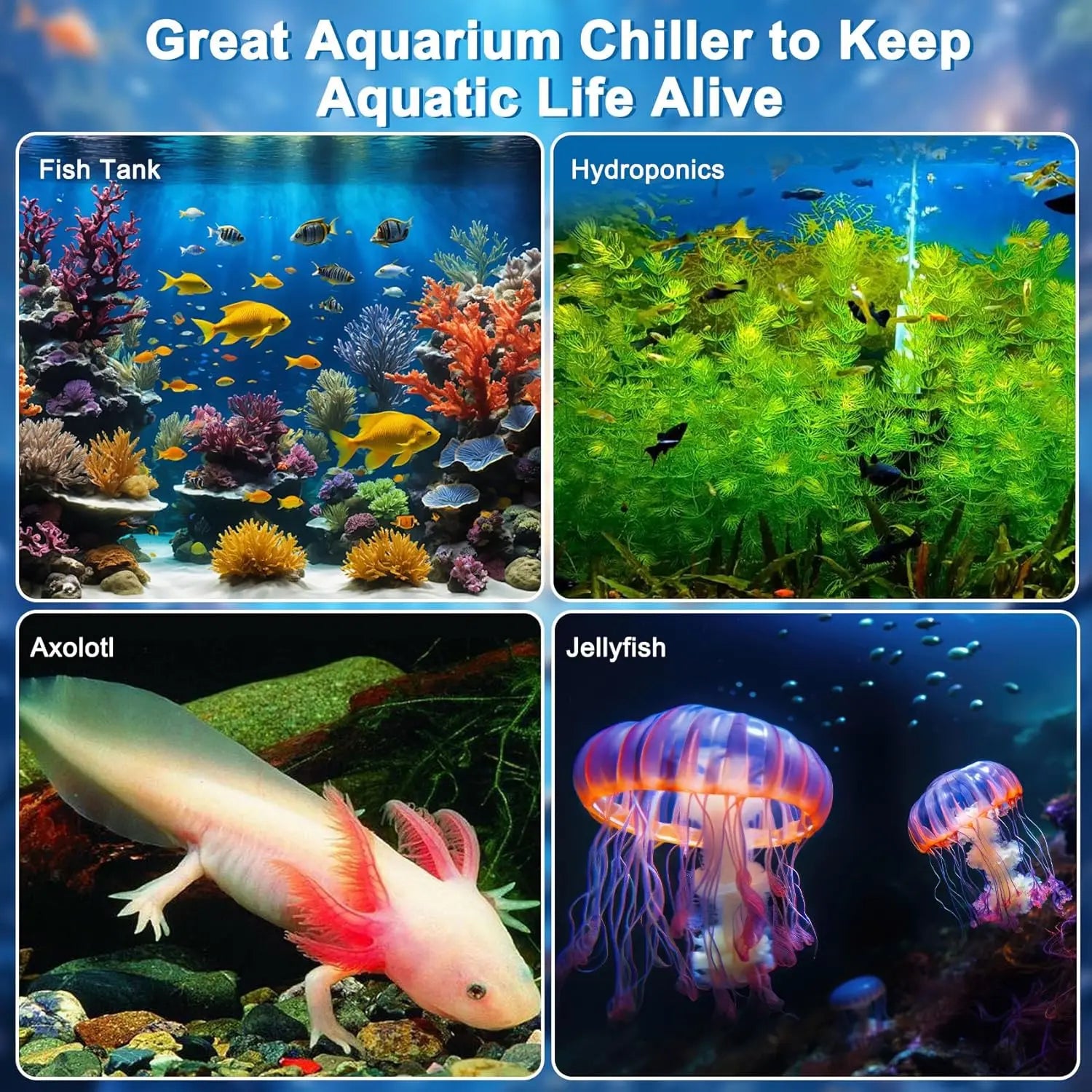 79 Gal Aquarium & Hydroponic Water Chiller 1/3HP – Efficient Cooling System with Pump & Remote Control