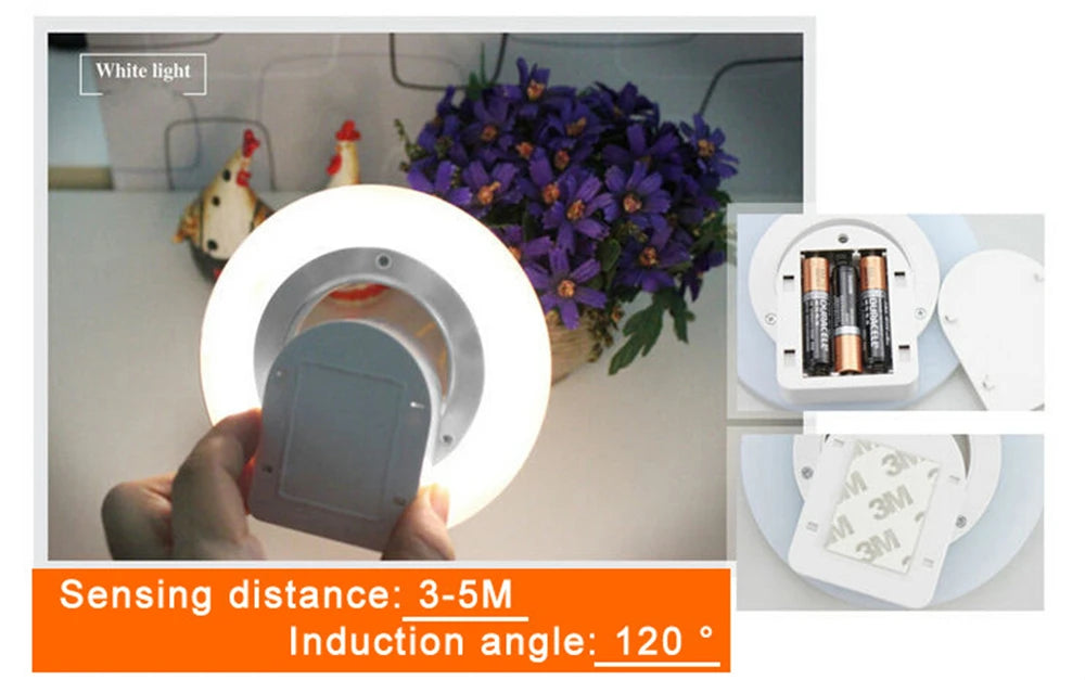 Motion Sensor Light
