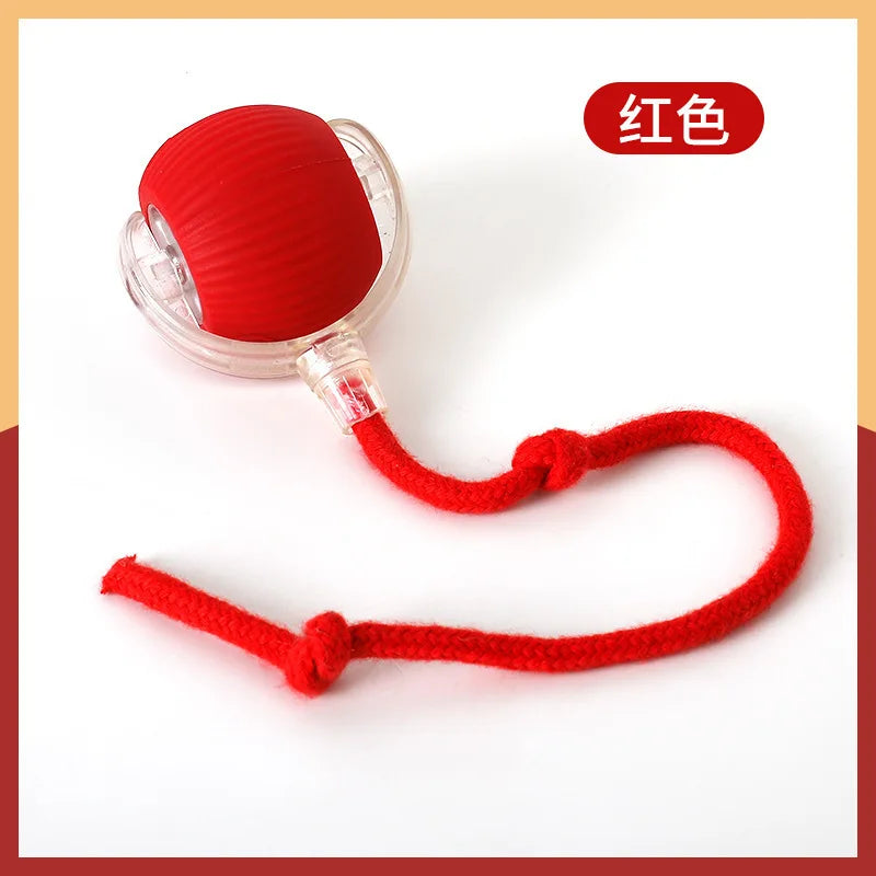 AutoPaws™ Self-Moving Dog Toy – Interactive Motion Pet Toy for Active Play