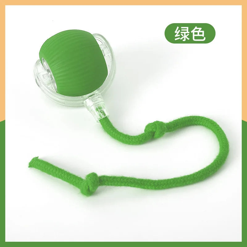 AutoPaws™ Self-Moving Dog Toy – Interactive Motion Pet Toy for Active Play