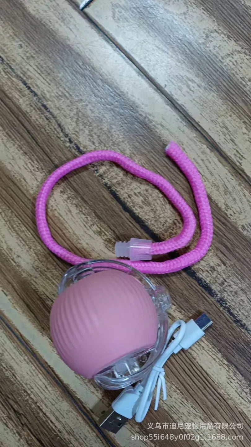 AutoPaws™ Self-Moving Dog Toy – Interactive Motion Pet Toy for Active Play
