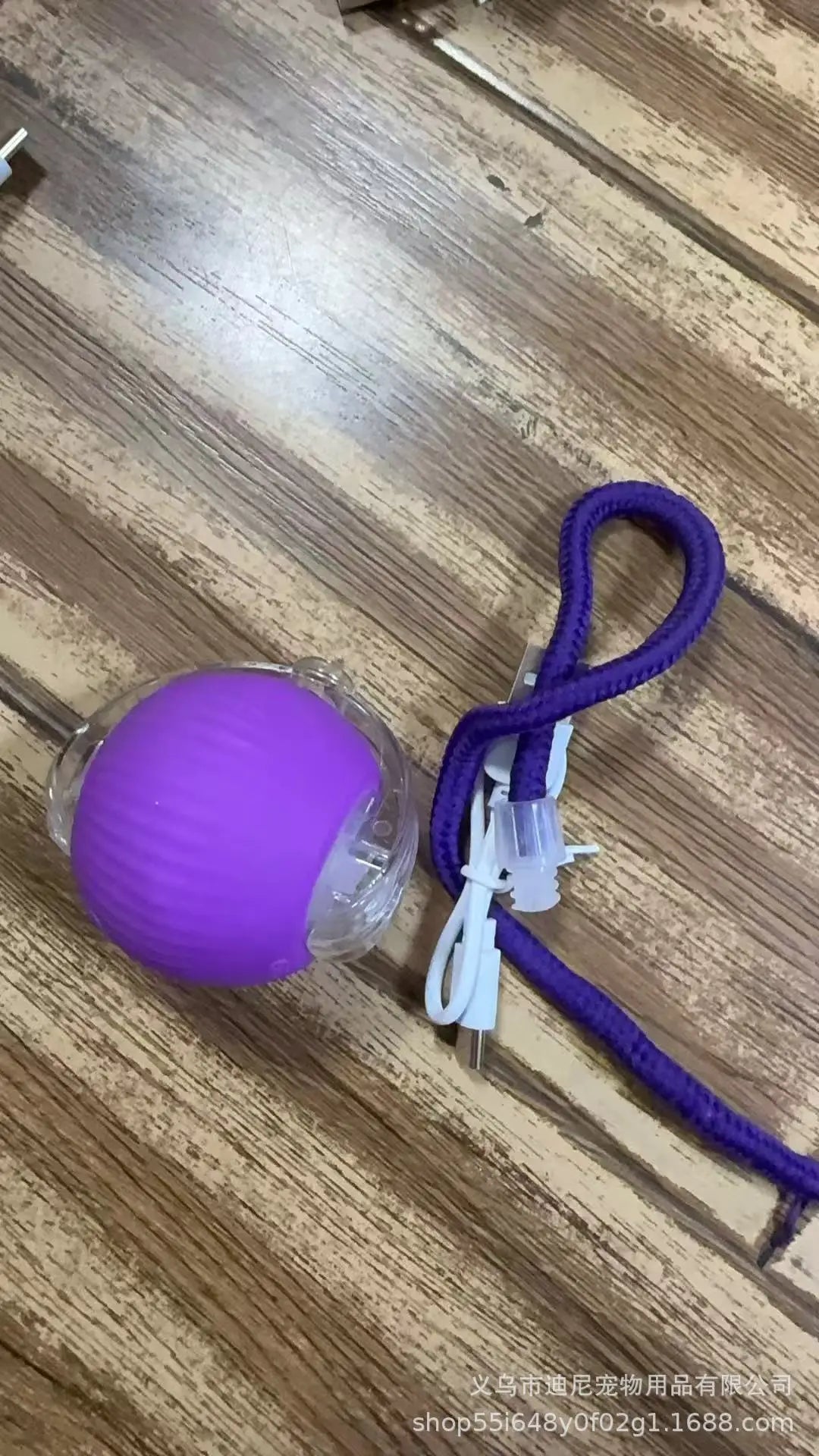 AutoPaws™ Self-Moving Dog Toy – Interactive Motion Pet Toy for Active Play