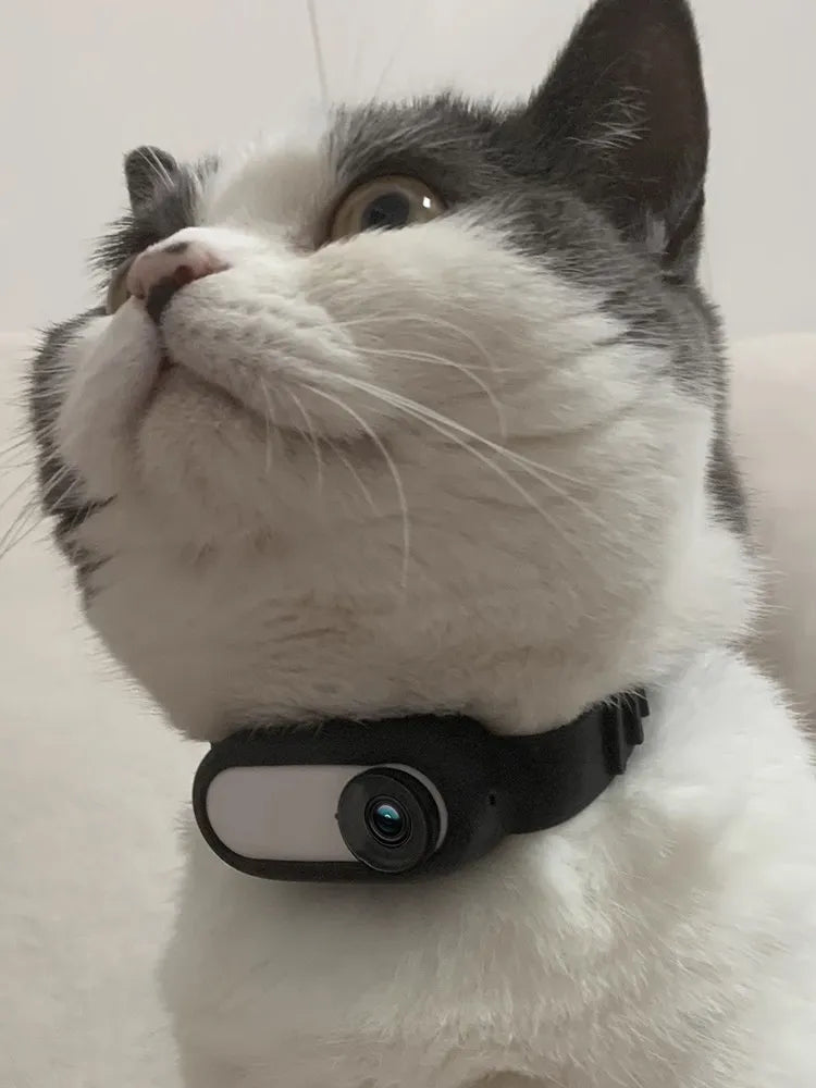 Pet Collar Camera