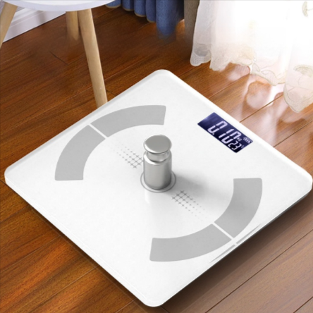 Body Fat Scale
