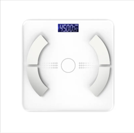 Body Fat Scale