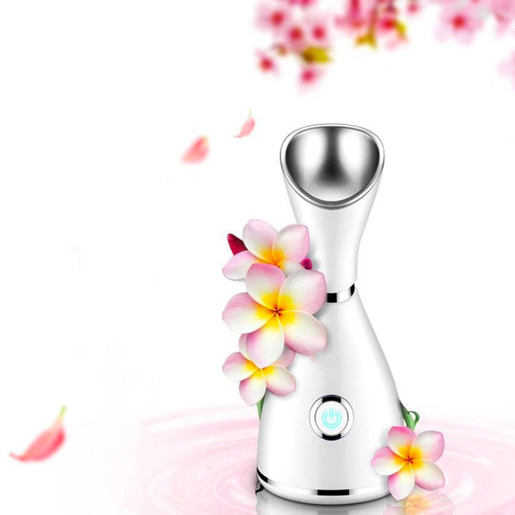 Nano Facial Steamer